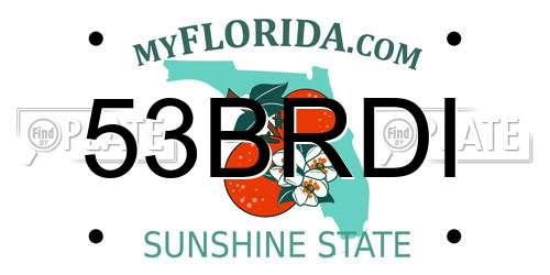 53BRDI Florida License Plate