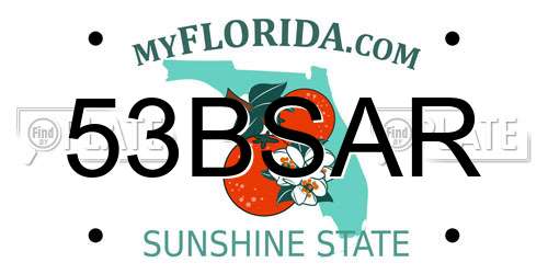 53BSAR Florida License Plate