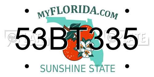 53BT335 Florida License Plate
