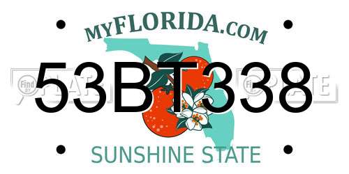 53BT338 Florida License Plate