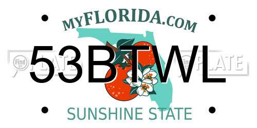53BTWL Florida License Plate