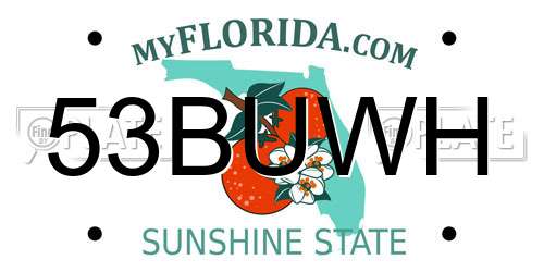 53BUWH Florida License Plate