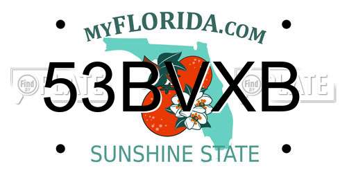 53BVXB Florida License Plate