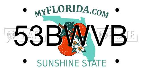 53BWVB Florida License Plate