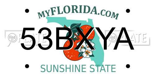 53BXYA Florida License Plate