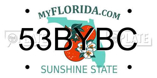 53BYBC Florida License Plate