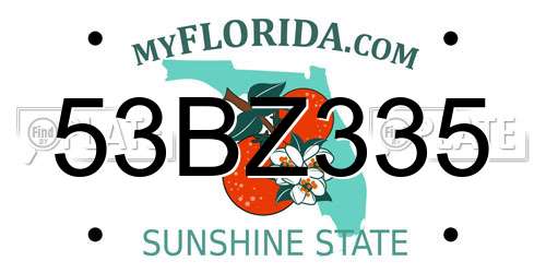 53BZ335 Florida License Plate