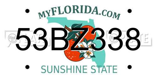 53BZ338 Florida License Plate