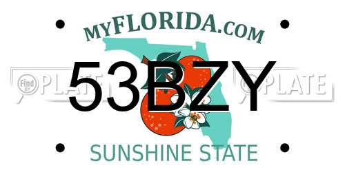 53BZY Florida License Plate