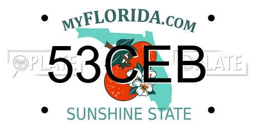 53CEB Florida License Plate
