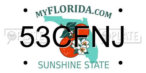 53CFNJ Florida License Plate