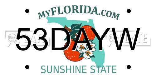 53DAYW Florida License Plate