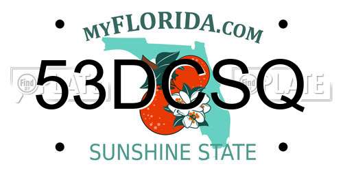 53DCSQ Florida License Plate
