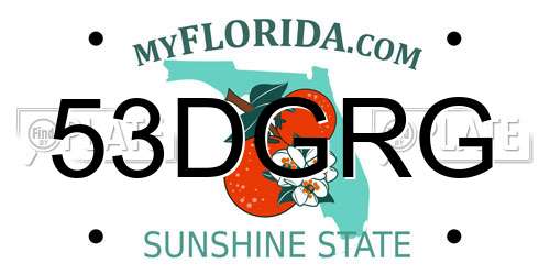 53DGRG Florida License Plate