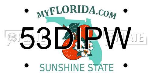 53DIPW Florida License Plate