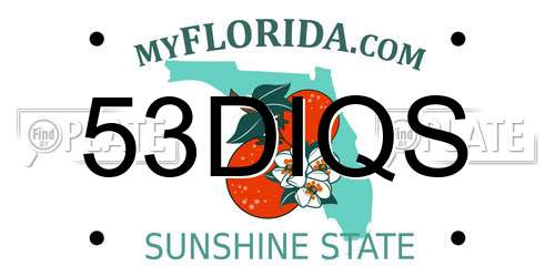 53DIQS Florida License Plate