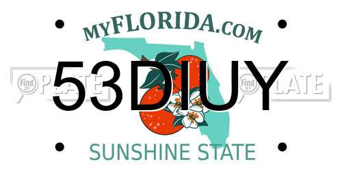 53DIUY Florida License Plate