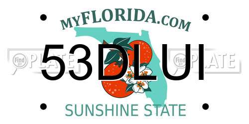 53DLUI Florida License Plate
