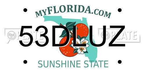 53DLUZ Florida License Plate