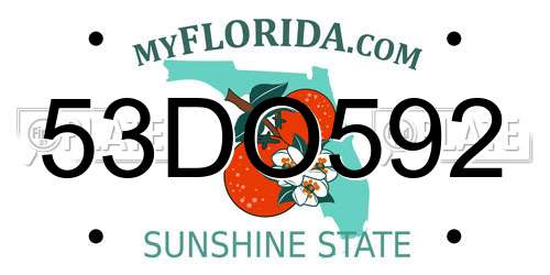 53DO592 Florida License Plate