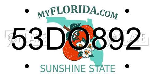 53DO892 Florida License Plate