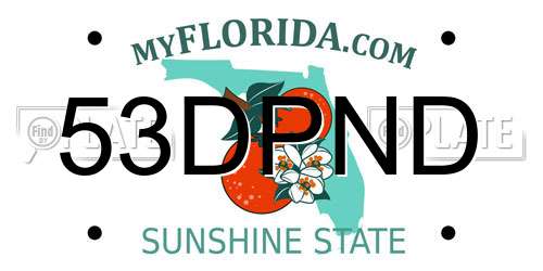 53DPND Florida License Plate