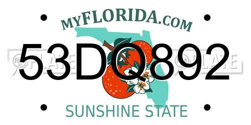 53DQ892 Florida License Plate