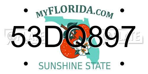 53DQ897 Florida License Plate
