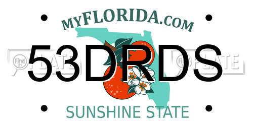 53DRDS Florida License Plate