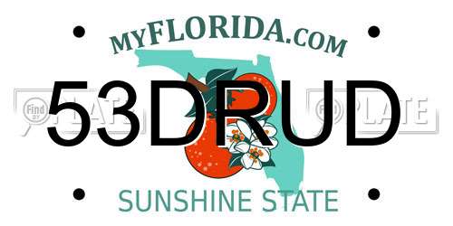 53DRUD Florida License Plate