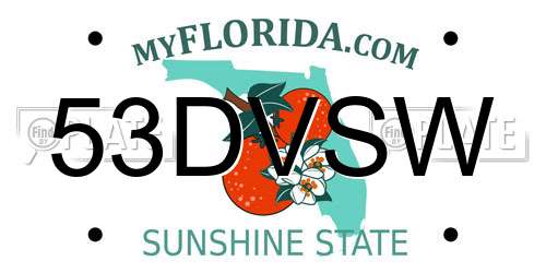 53DVSW Florida License Plate