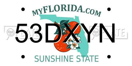 53DXYN Florida License Plate