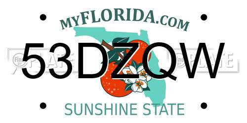 53DZQW Florida License Plate