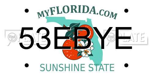 53EBYE Florida License Plate