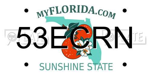 53ECRN Florida License Plate
