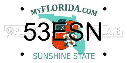 53ESN Florida License Plate