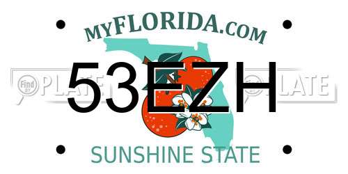 53EZH Florida License Plate