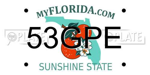 53GPE Florida License Plate