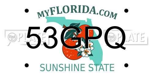 53GPQ Florida License Plate