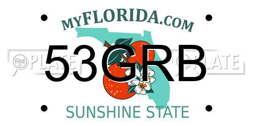 53GRB Florida License Plate