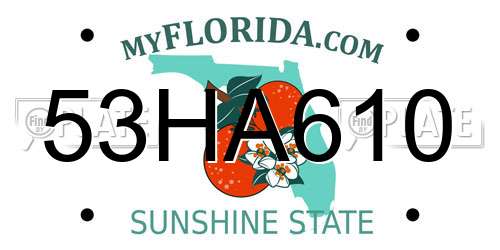 53HA610 Florida License Plate