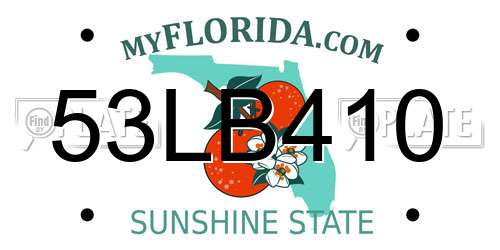 53LB410 Florida License Plate