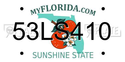53LS410 Florida License Plate