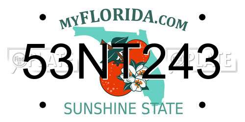 53NT243 Florida License Plate