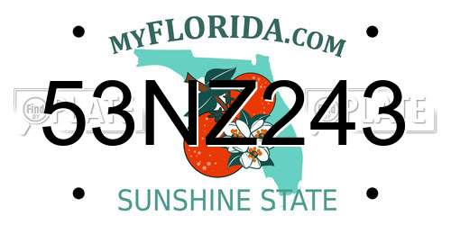 53NZ243 Florida License Plate
