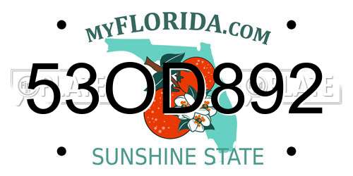 53OD892 Florida License Plate