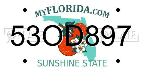 53OD897 Florida License Plate