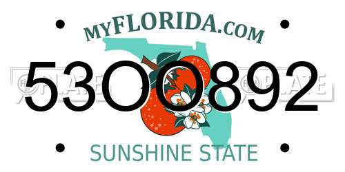 53OO892 Florida License Plate