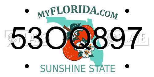 53OQ897 Florida License Plate