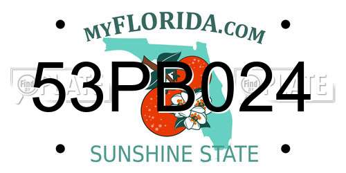 53PB024 Florida License Plate